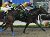 Mr Big breaking the 1100m course record in Singapore<br>Photo by Singapore Turf Club